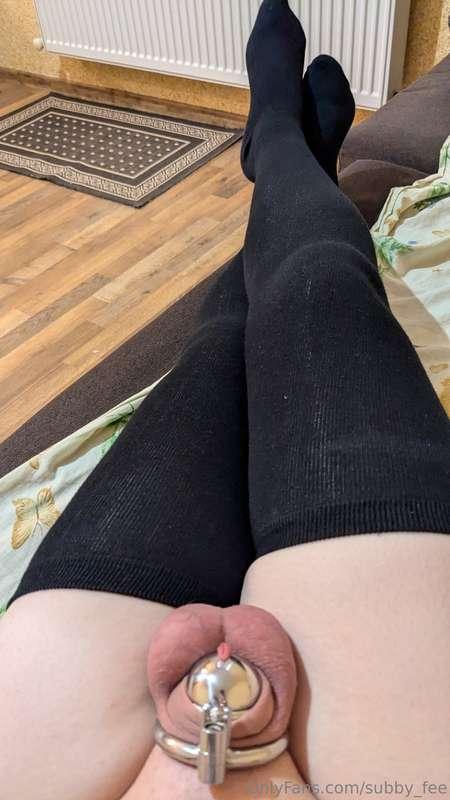 subby_fee image #18