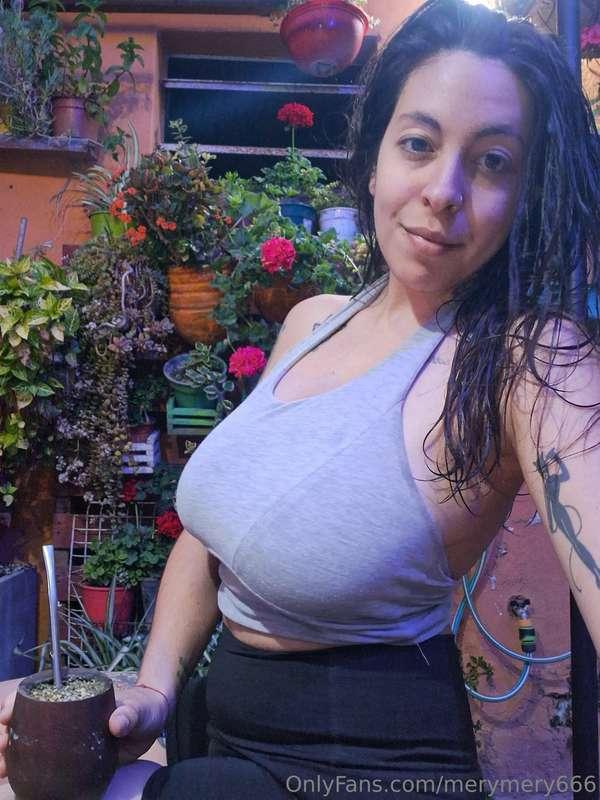 transiting the sunset🌺