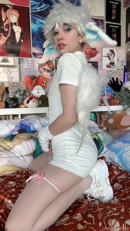indigowhite image #162