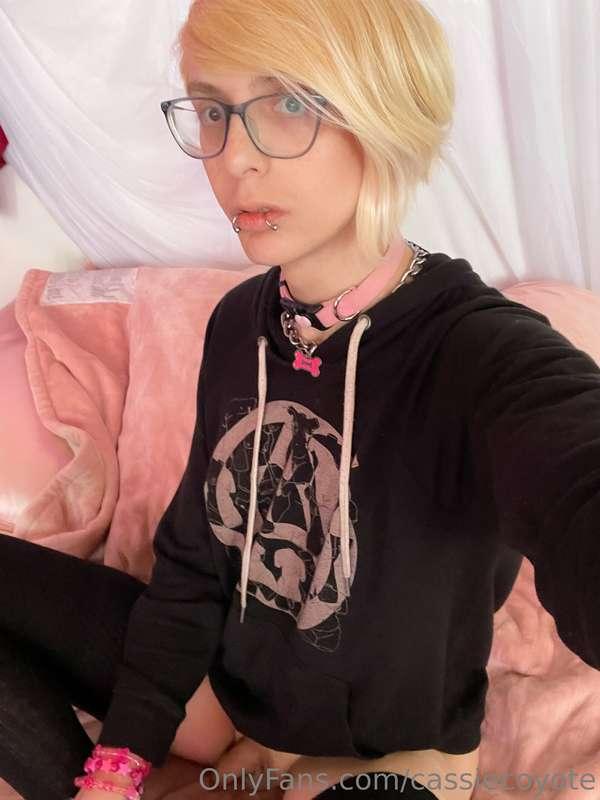 cassiecoyote image #1