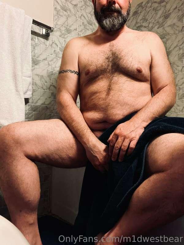 m1dwestbear image #6