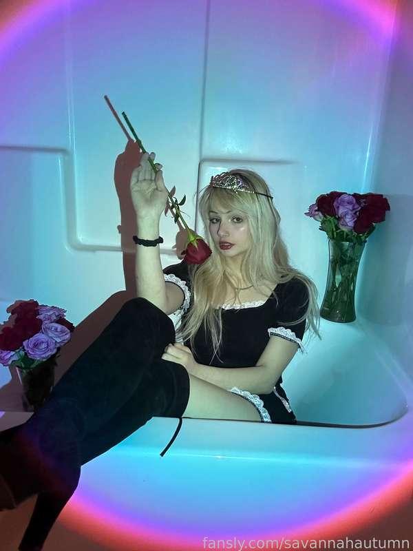 savannahautumn image #48