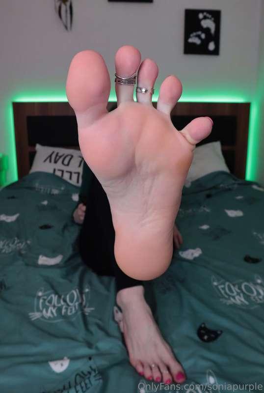 soniapurple image #3