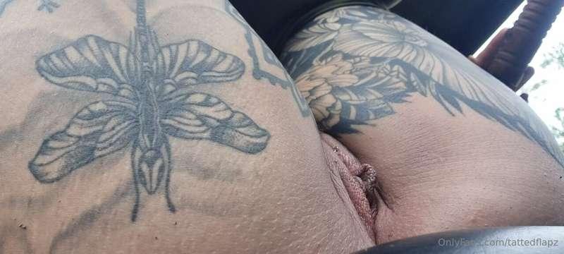 tattedflapz main image
