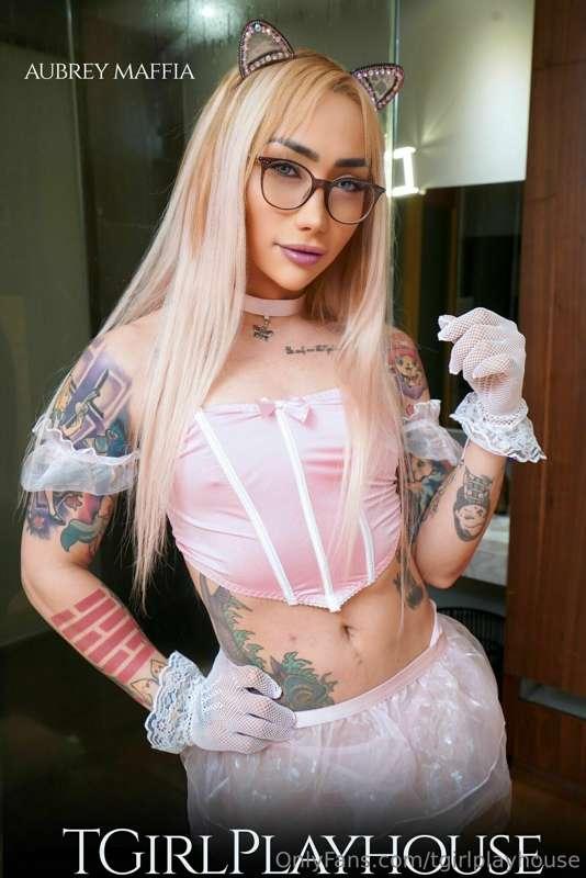 Audrey Maffia is the ultimate bimbo fuck toy. 
Shes our next..