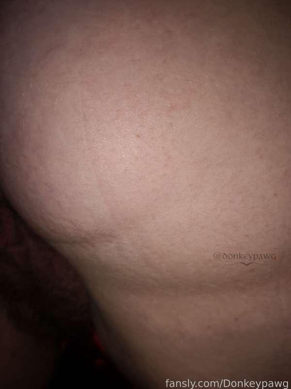 donkeypawg image #1
