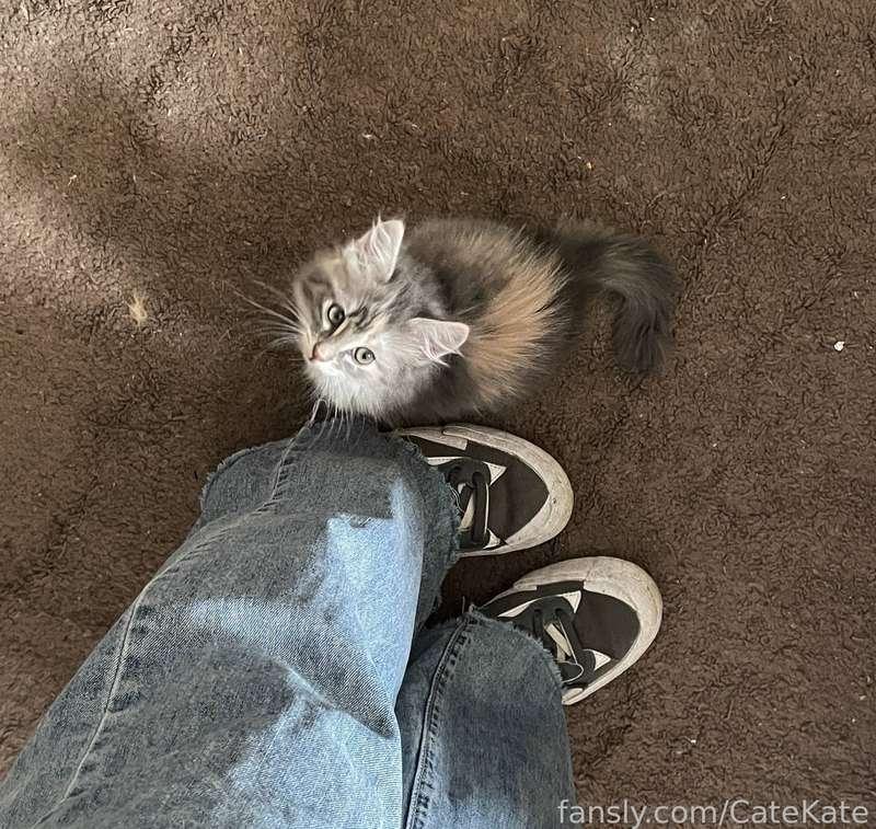catekate image #1
