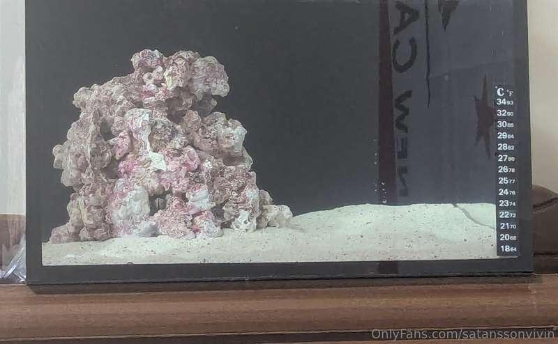 satanssonvivin image #26