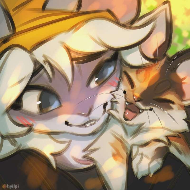 icon commissions