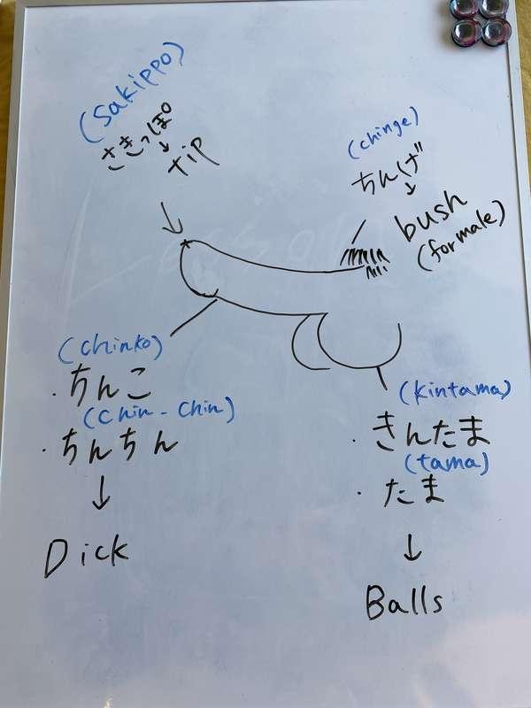 Naughty Japanese lesson#2 ❤️