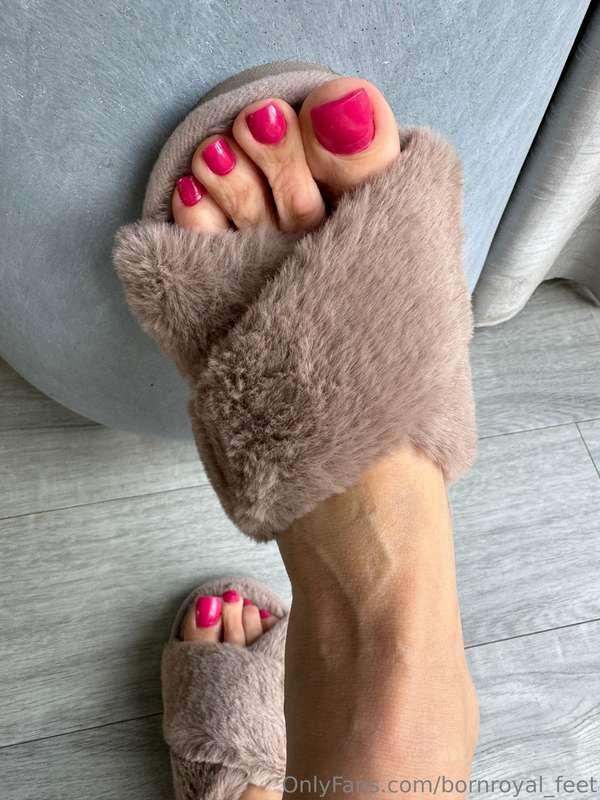 Comfy slippers. They get so smelly and sweaty. You would lov..
