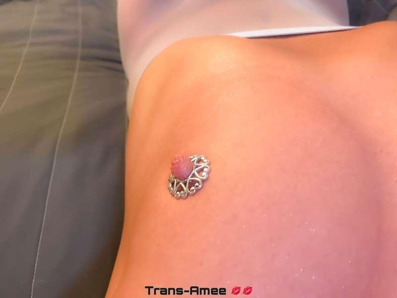 amee_trans image #2
