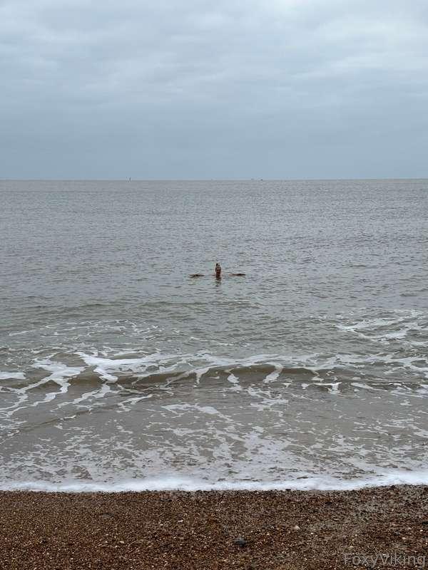 Good morning Vikings ❤️I braved to cold North Sea this morni..