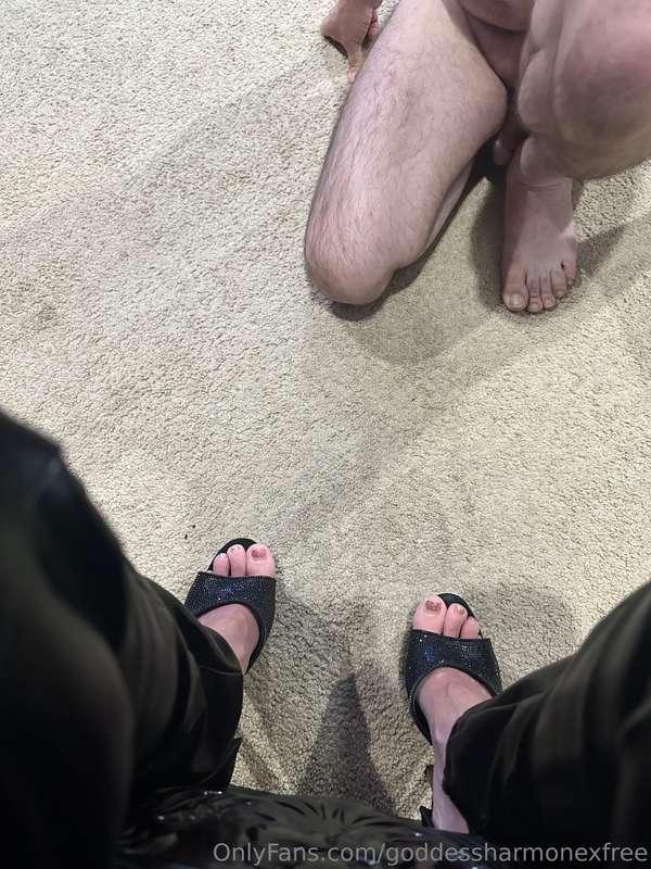 The only way you should ever approach me slave 👸🧎