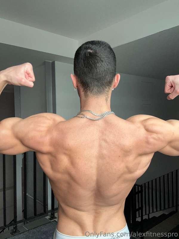 alexfitnesspro image #25