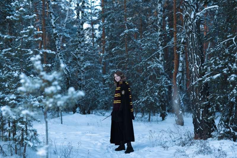 In Forbidden Forest