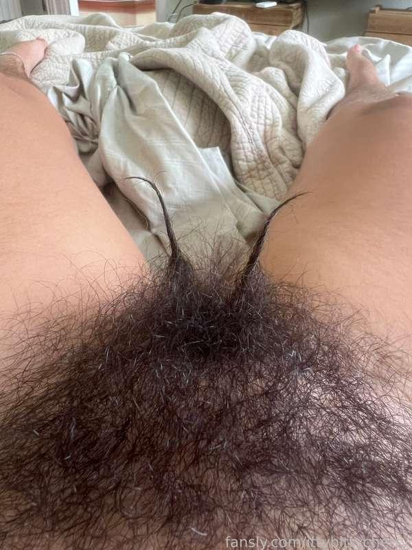 I have my bush horns hahaha

#fyp #hairypussy #bush #hairy #pussy #unshaved #hairyporn #hairygirl 