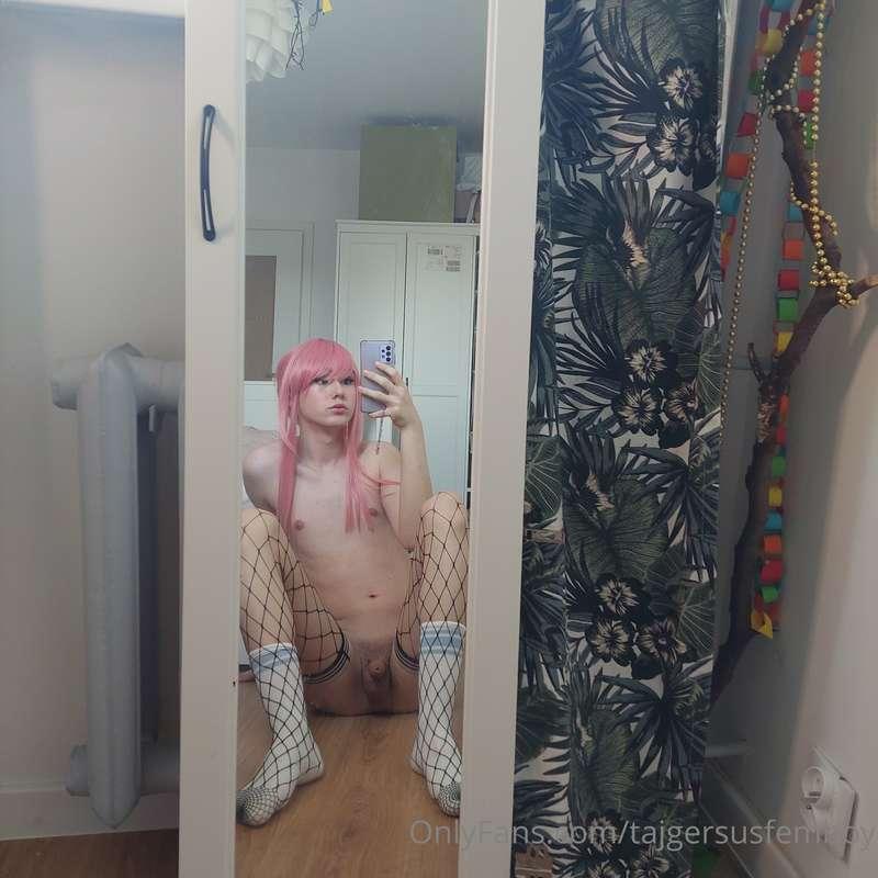 tajgersusfemboy image #1