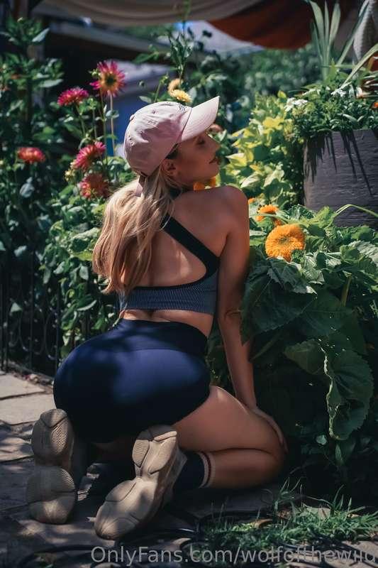 wolfofthewild image #0