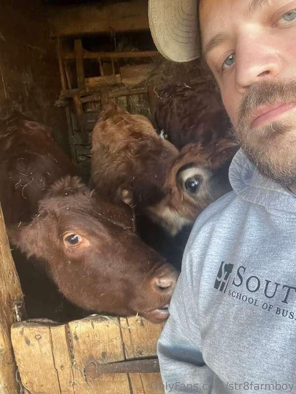 Happy thanksgiving from me and the cows!