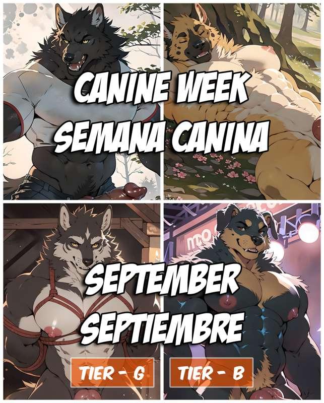 Canine week is coming!