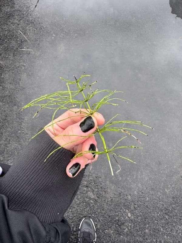 our world is beautiful 🌱