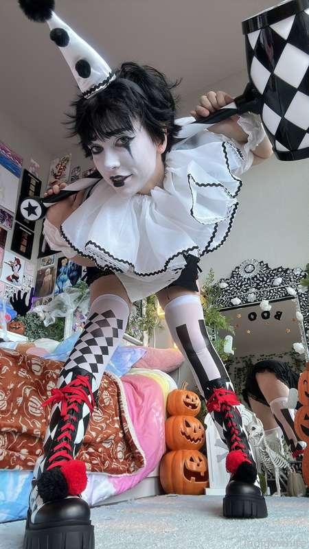 indigowhite image #103