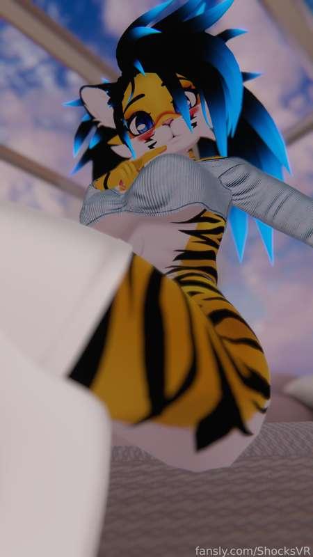 shocksvr image #2