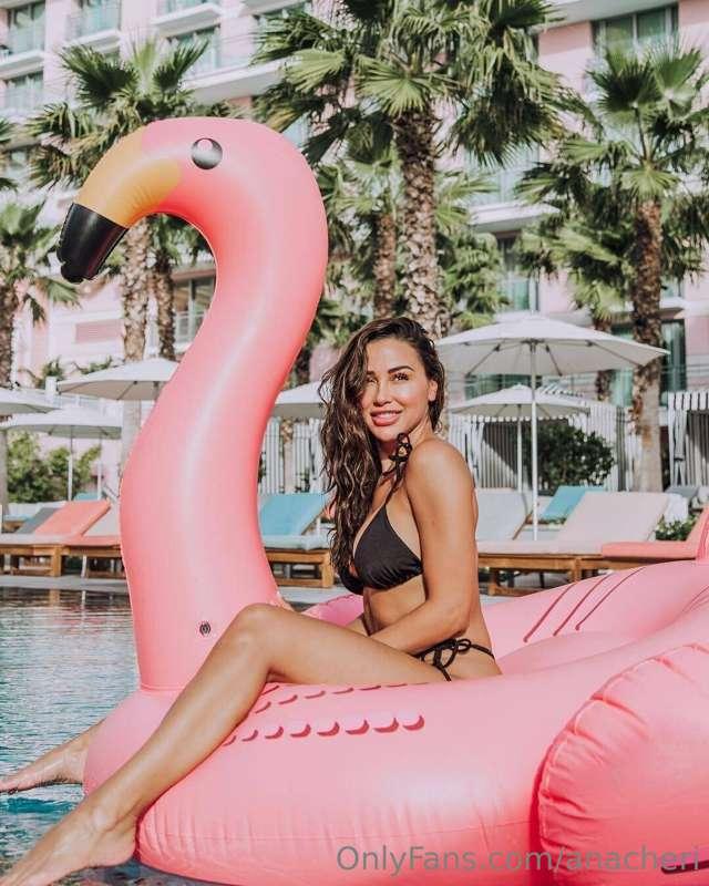Mentally.... in Palm Springs 🦩🌵☀️

Did you make it to Coache..
