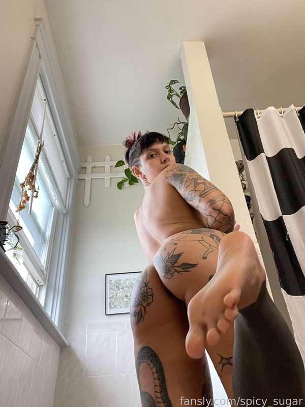 sugarisspicy image #0