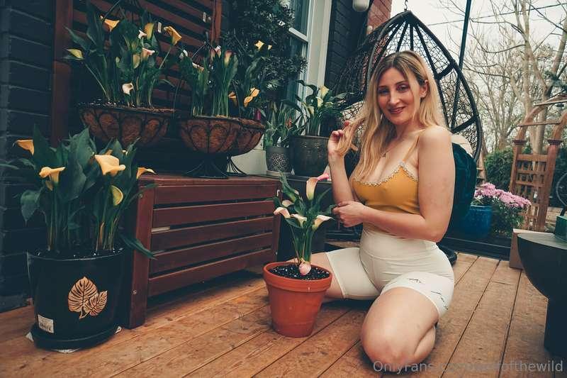 Officially a plant mom to these beauties! So excited to watc..