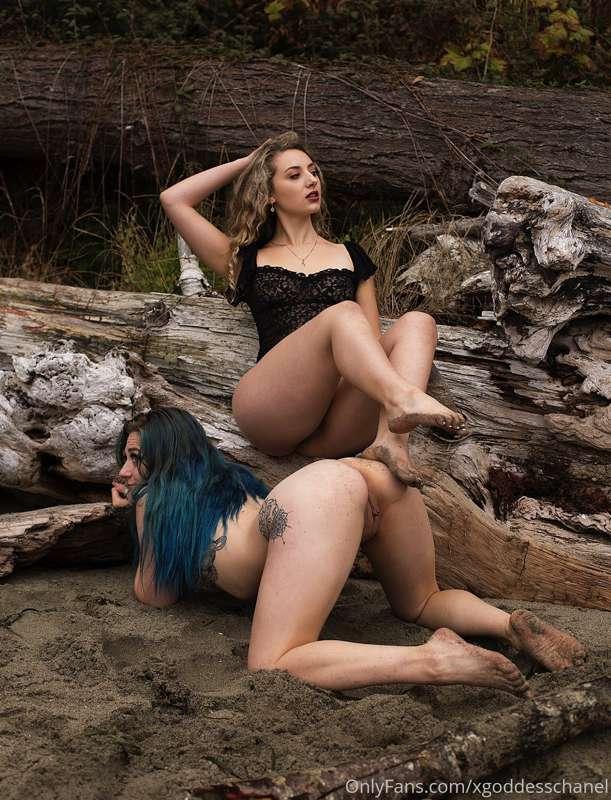 @missindigorose knows her Queen always needs a footrest.