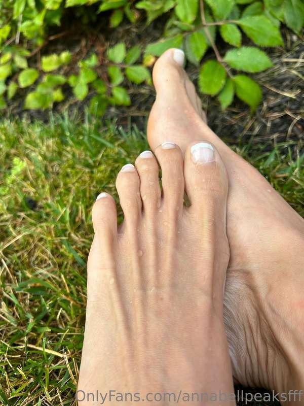 Fresh morning dew on my toesies..