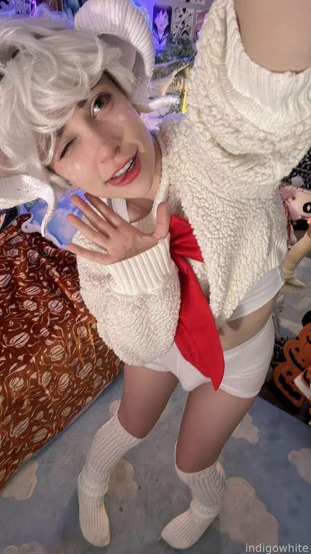 indigowhite image #109