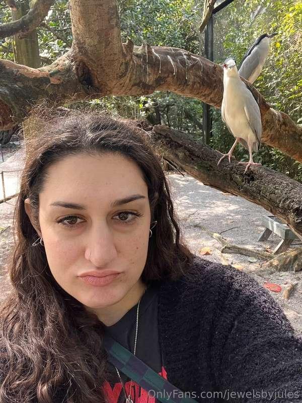 ✨Made a friend at the park today lol 😝 🦅 🐦 