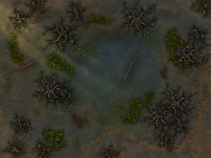 Swamp