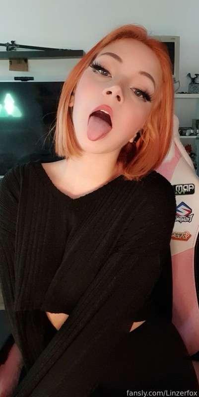 linzerfox image #1