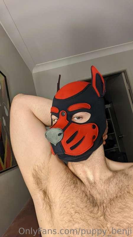 Wanna sniff my pits and every single inch of me?