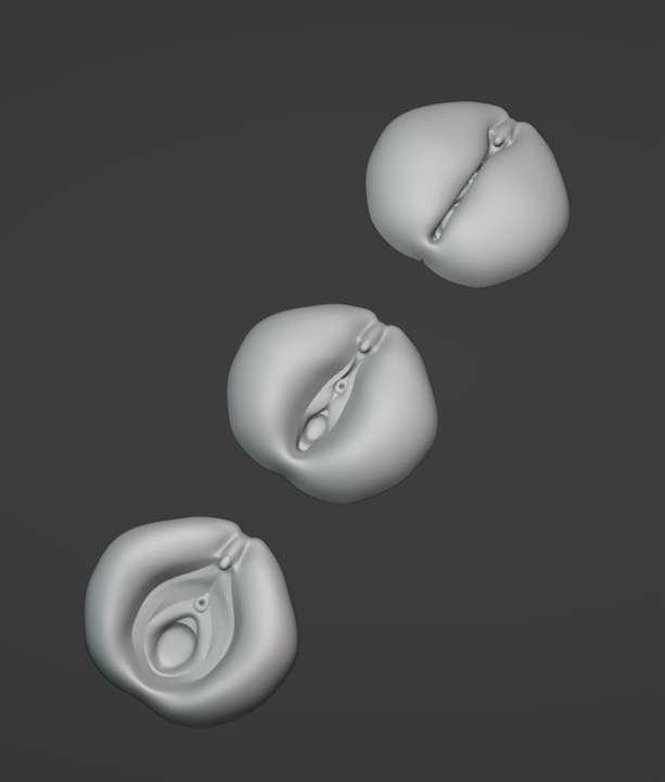 New Vagina Rig in Development