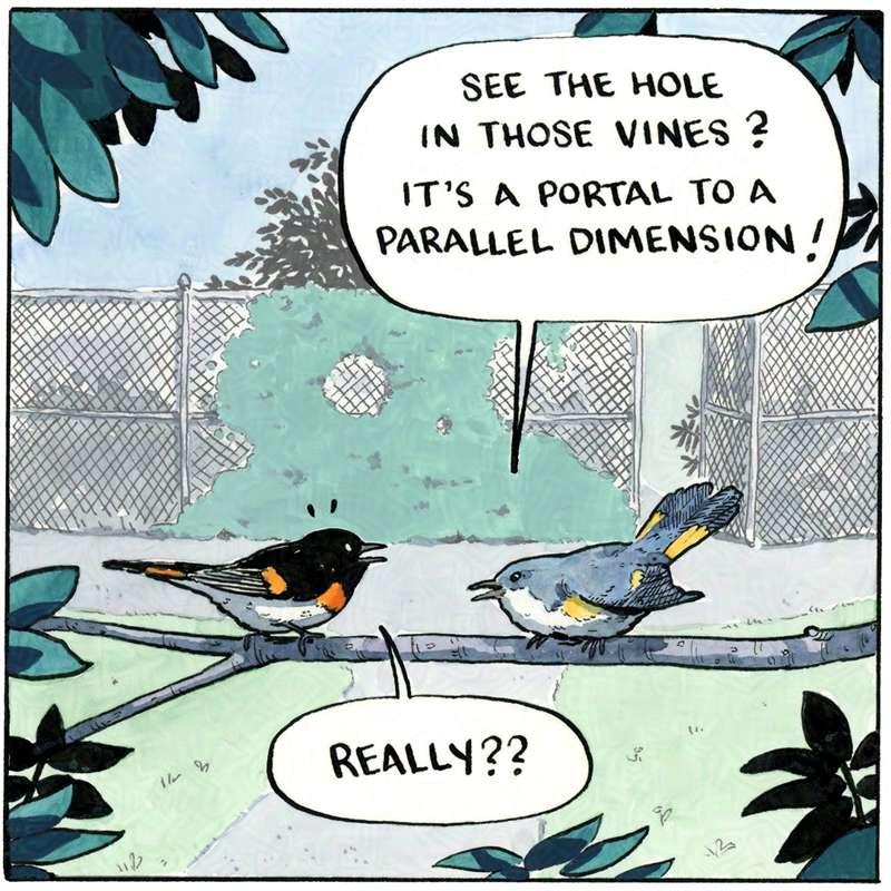 Parallel Dimension