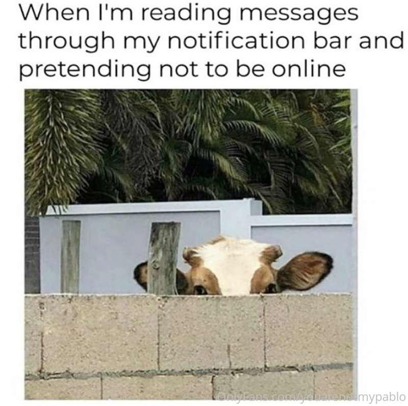 😂😂😂
