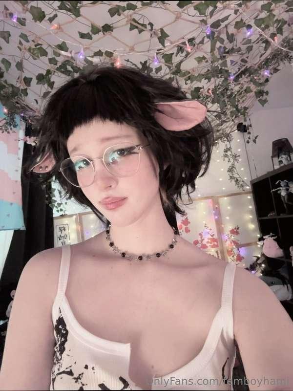 femboyhami image #1