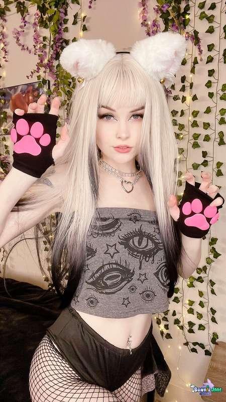 NyaNyaNya 😸