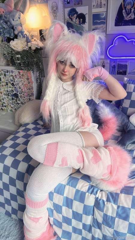 indigowhite image #155