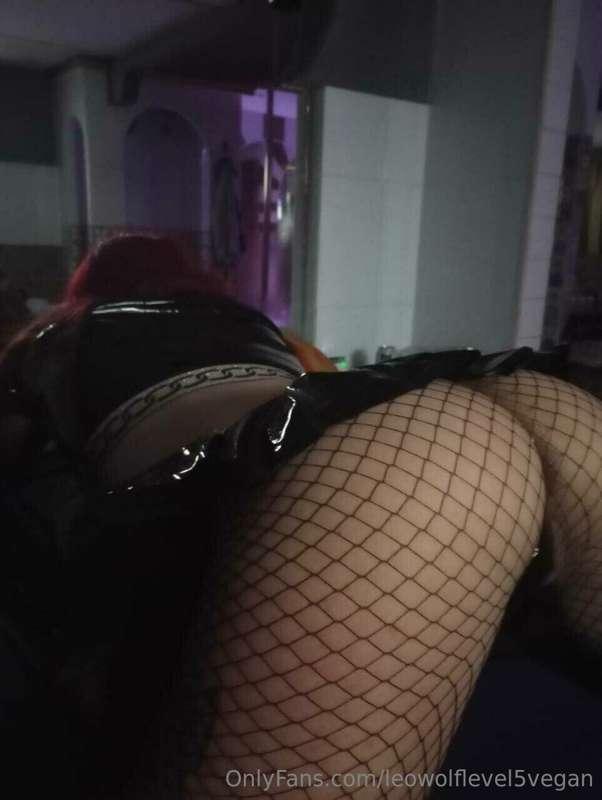 leowolflevel5vegan image #0
