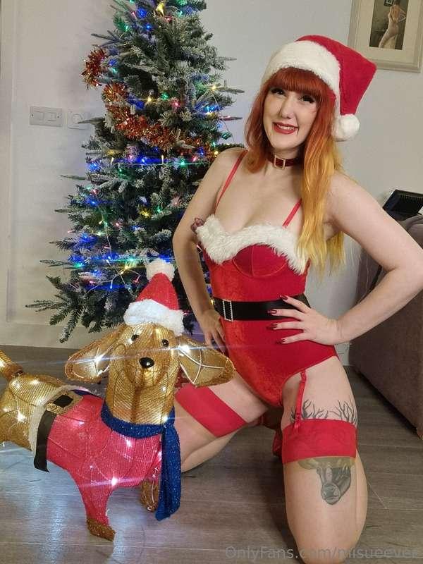 I definitely need to up my tinsel game, so Noodle and I are ..