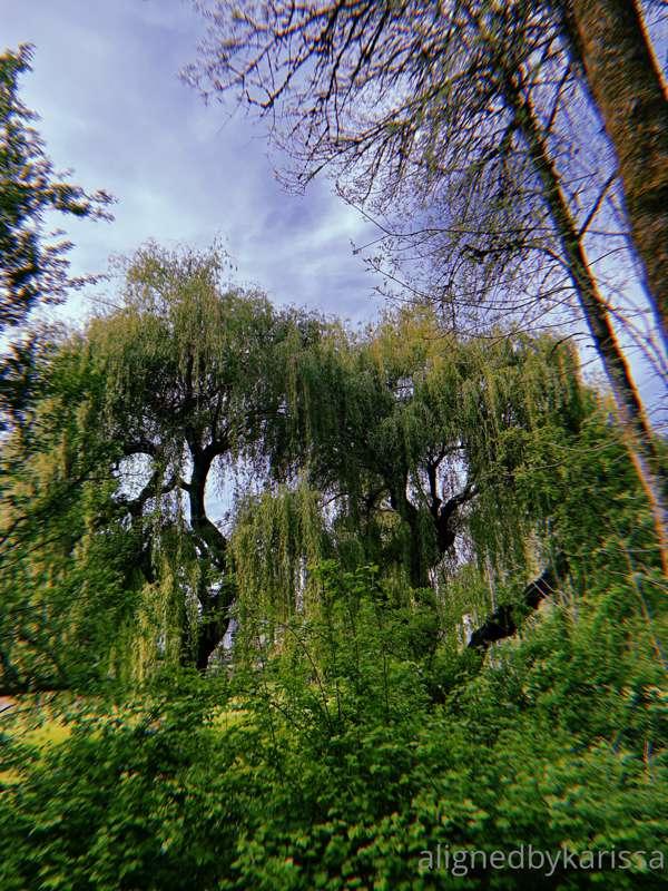 🌿Growing up playing outside everyday helped me become so con..