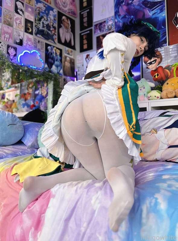 indigowhite image #322