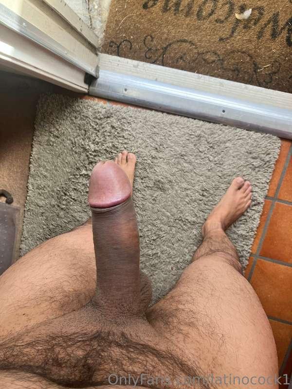 latinocock1 image #0