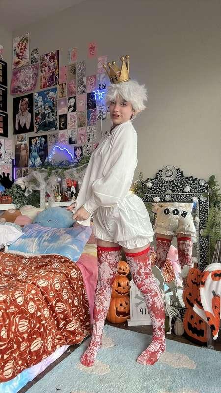 indigowhite image #277